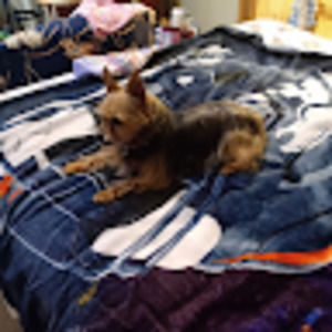 Meet your Posher, Toni lynn